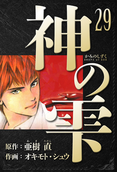 神の雫 愛蔵版 29巻