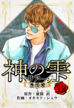 マリアージュ ～神の雫 最終章～ 愛蔵版 12巻