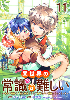 異世界の常識は難しい～希少で最弱な人族に転生したけど物理以外で最強になりそうです～ ストーリアダッシュ連載版 11巻