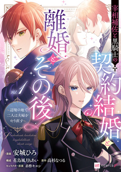 宰相補佐と黒騎士の契約結婚と離婚とその後 ～辺境の地で二人は夫婦をやり直す～ 1巻