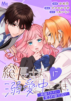 総長さま、溺愛中につき。～最強イケメンと愛され寮生活!?～ 分冊版 17巻