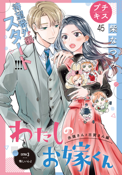 わたしのお嫁くん プチキス 45巻
