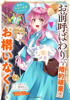 お前呼ばわりで婚約破棄?隣国で自由を謳歌するのでどうぞお構いなく!～追放令嬢、実は最強精霊師でした～ 2巻