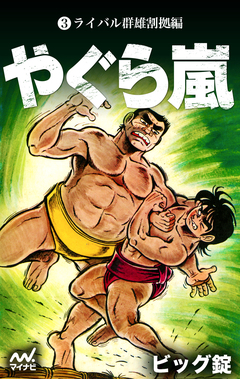 やぐら嵐 3巻