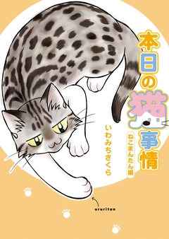 本日の猫事情 10巻