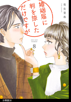 婚姻届に判を捺しただけですが 分冊版 38巻