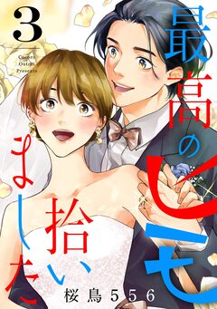 最高のヒモ拾いました 3巻