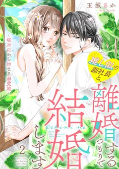 推し似の副社長と離婚するつもりで結婚します～塩対応から始まる溺愛婚～ 2巻