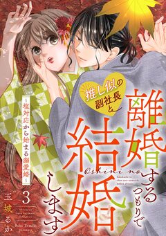 推し似の副社長と離婚するつもりで結婚します～塩対応から始まる溺愛婚～ 3巻