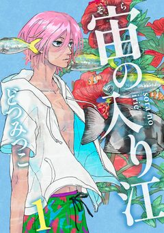 宙の入り江 1巻