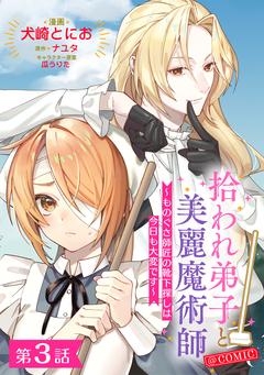 【単話版】拾われ弟子と美麗魔術師～ものぐさ師匠の靴下探しは今日も大変です～@COMIC 3巻
