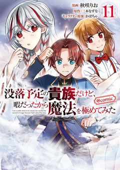 没落予定の貴族だけど、暇だったから魔法を極めてみた@COMIC 11巻