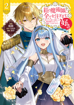 紅の魔術師に全てを注ぎます。好き。@COMIC 2巻