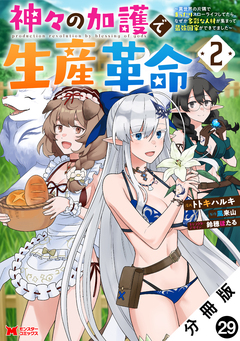 神々の加護で生産革命～異世界の片隅でまったりスローライフしてたら、なぜか多彩な人材が集まって最強国家ができてました～(コミック) 分冊版 29巻