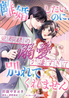 離婚したいのに、旦那様の溺愛が凄すぎて別れてくれません【分冊版】 6巻