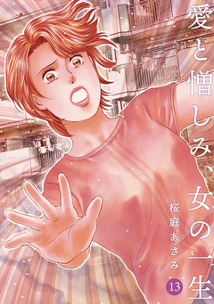 愛と憎しみ、女の一生 13巻