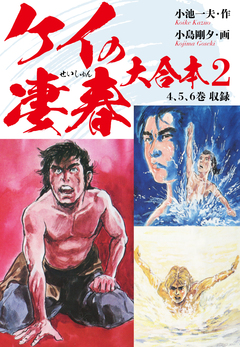 ケイの凄春 大合本 2巻