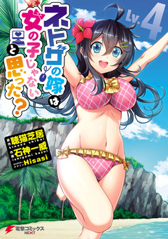 ネトゲの嫁は女の子じゃないと思った? 4巻