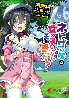 ネトゲの嫁は女の子じゃないと思った? 6巻
