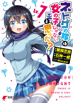 ネトゲの嫁は女の子じゃないと思った? 7巻