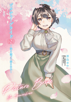 ピクチャーブライド ~海を渡って恋となれ~ 2巻