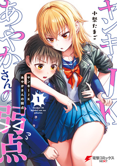 ヤンキーJKあやかさんの弱点 1巻