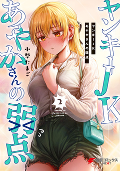 ヤンキーJKあやかさんの弱点 2巻