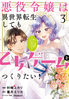 悪役令嬢は異世界転生しても乙女ゲームをつくりたい! オトメ趣味を隠していた俺がどうして巻き込まれているのだろう? 3巻
