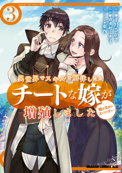 異世界でスキルを解体したらチートな嫁が増殖しました 概念交差のストラクチャー 3巻