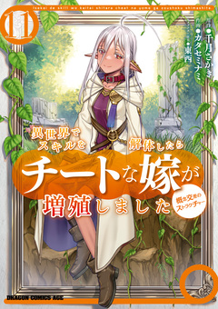 異世界でスキルを解体したらチートな嫁が増殖しました 概念交差のストラクチャー 11巻