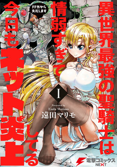 異世界最強の聖騎士は情弱すぎて今日もネット炎上してる ~FF外から失礼します~ 1巻