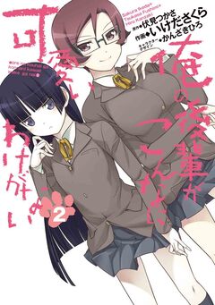 俺の後輩がこんなに可愛いわけがない 2巻