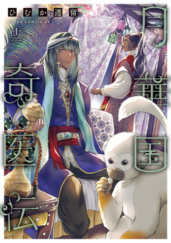 月華国奇医伝 13巻