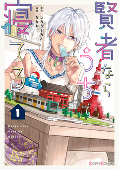 賢者ならうちで寝てる 1巻