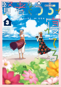 賢者ならうちで寝てる 3巻