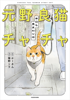 元野良猫チャチャ 本日も見まわり中 1巻