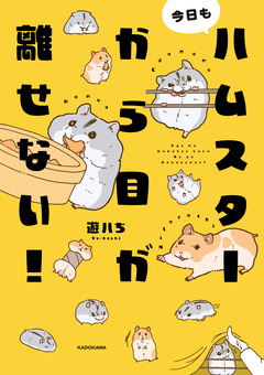 今日もハムスターから目が離せない! 1巻