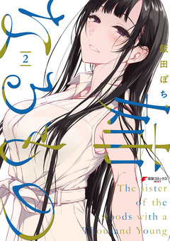 姉なるもの 2巻