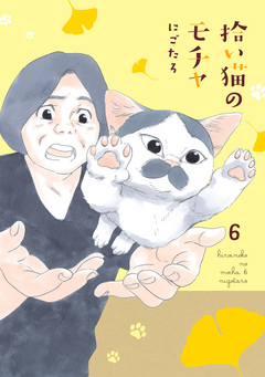 拾い猫のモチャ 6巻
