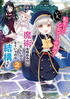 転生したら乙女ゲーの世界? いえ、魔術を極めるのに忙しいのでそういうのは結構です。 2巻