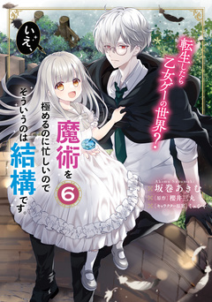 転生したら乙女ゲーの世界? いえ、魔術を極めるのに忙しいのでそういうのは結構です。 6巻