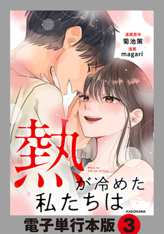 熱が冷めた私たちは【電子単行本版】 3巻