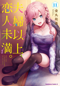夫婦以上、恋人未満。 11巻