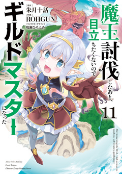魔王討伐したあと、目立ちたくないのでギルドマスターになった 11巻