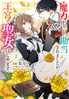 魔力がないと勘当されましたが、王宮で聖女はじめます 2巻