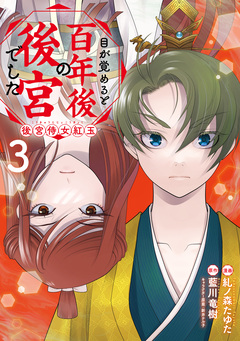 目が覚めると百年後の後宮でした 後宮侍女紅玉 3巻