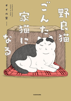 野良猫ごんた、家猫になる 1巻