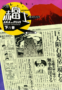 夕刊赤富士 2巻