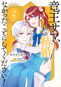 竜王サマ、この結婚はなかったことにしてください! 2巻