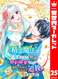 精霊魔法が使えない無能だと婚約破棄されたので、義妹の奴隷になるより追放を選びました 25巻
